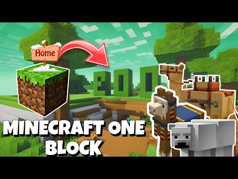 Explore MrPaw's Epic One-Block Zoo in Minecraft!