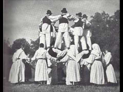 Saka puca rada tanca