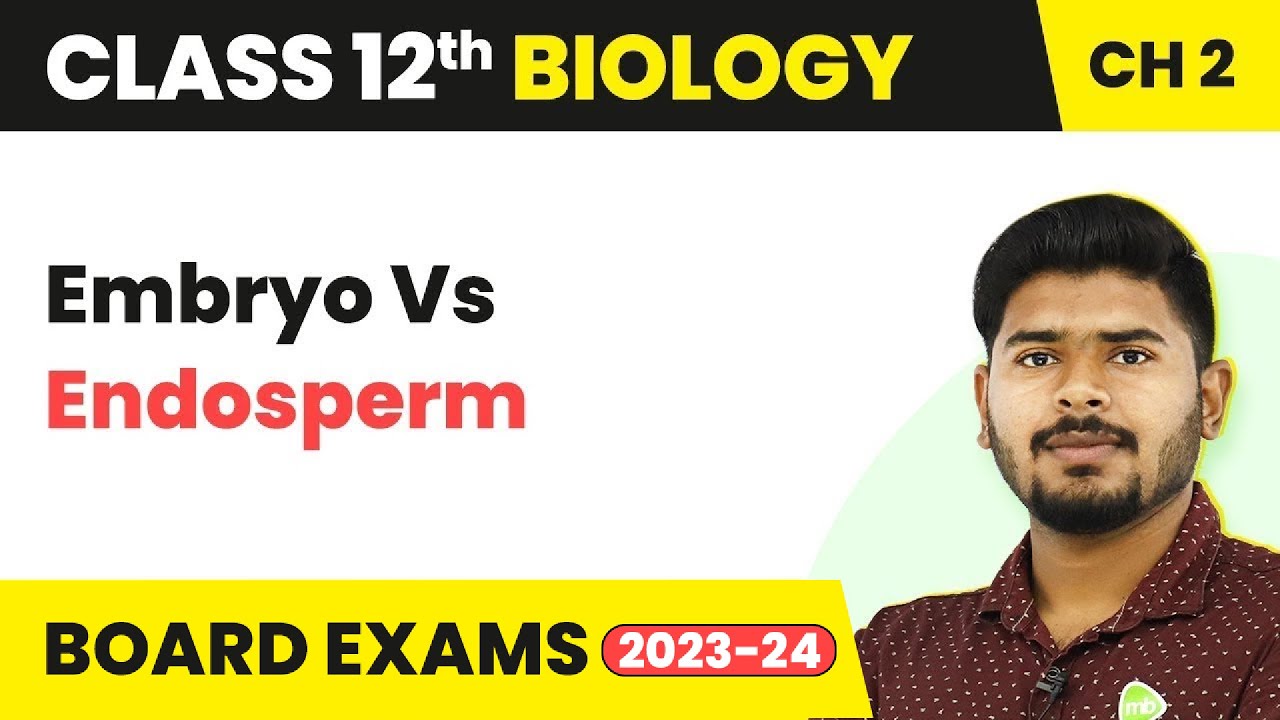 Embryo Vs Endosperm - Sexual Reproduction in Flowering Plants | Class 12 Biology Ch 2 NCERT/NEET
