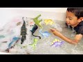 Awesome Dinosaurs Bubbles Collection! Stegosaurus, T REX | Learn Dinosaurs For Kids