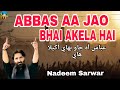 ABBAS AA JAO BHAI AKELA HAI Nadeem Sarwar Noha Voice Of Karbala 10 Trending Islam Viral