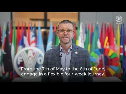 Institutionalization of forest data: Online facilitated course