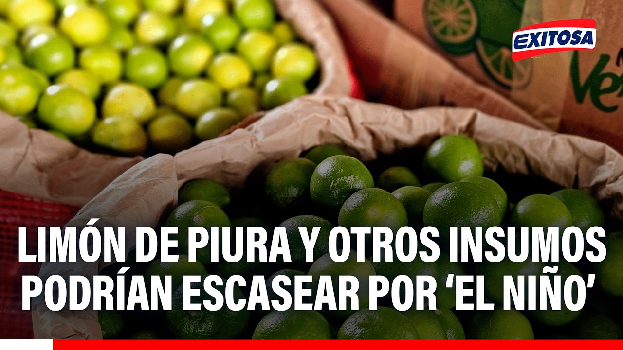 🔴🔵 Limón de Piura y otros insumos podrían escasear por el impacto del fenómeno El Niño