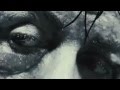 Take the hits, It´s all about Rocky this year!!!