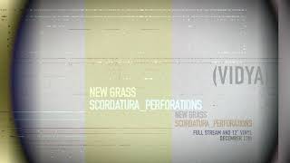 Vidya Music Video