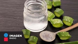 Los antibióticos naturales más poderosos / Bien y Saludable