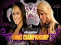WWE Elimination Chamber 2010 Full Match Card