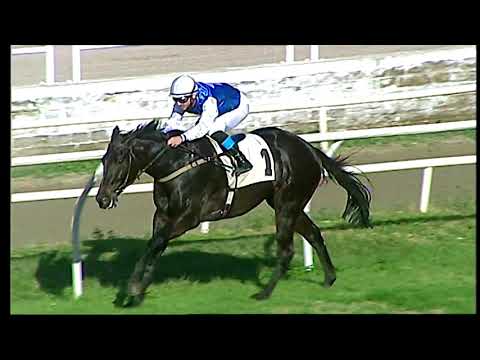 Galoppo 04/01/2021 - 2ª corsa