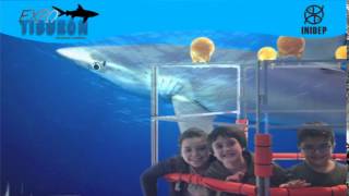 DIA 3 Expo Tiburon80