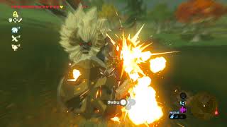 ゼルダの伝説 実況 No.5　ライネル攻略