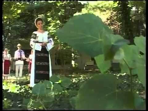 Camelia Balmau -Sunt stapan pe viata mea.[ Video Original ].