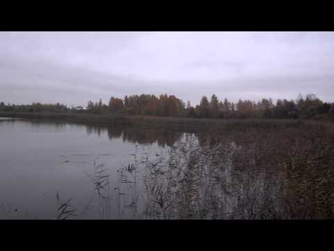 Видео озера возле города Браслав