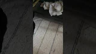 けんなおこになっていた