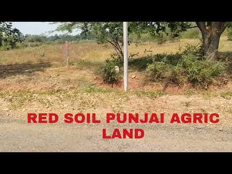  7 Acre Agricultural/Farm Land for Sale in Manachanallur, Tiruchirappalli