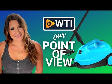 MLMLANT Steam Cleaner - WTI product video review
