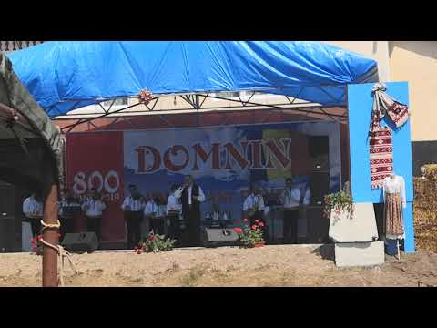 zilele domninului 800 ani