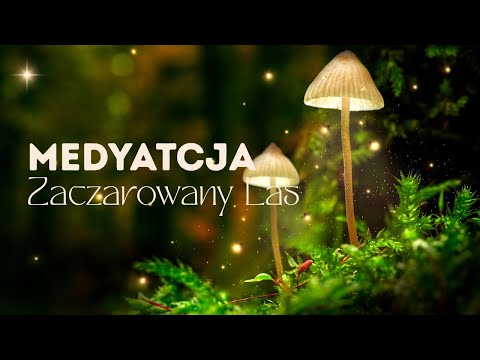 Magiczna Medytacja- Zaczarowany Las 🌲✨