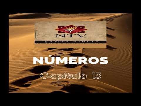 NTV - Números 13
