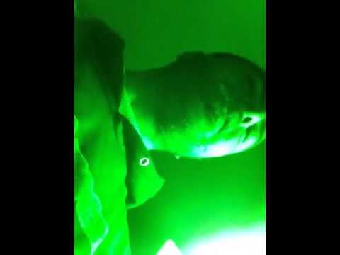 Nobridge #iononsonoschiavo