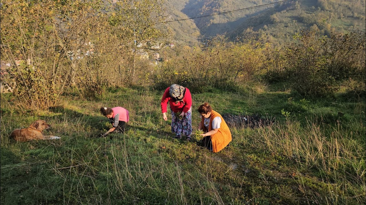 ‼️YÜKSEK DAĞ KÖYÜNDEN BELGESEL TADINDA  VLOG‼️
