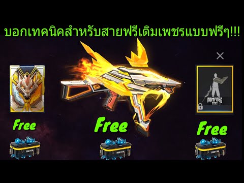 ฟีฟายฟรี