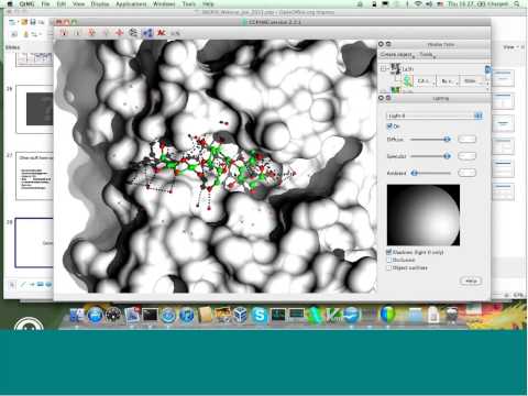 CCP4 Molecular Graphics (CCP4-MG) 