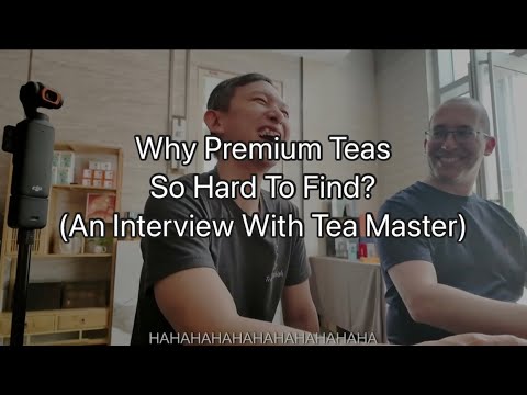 Master Wen Interview – Borderless Shou Puerh
