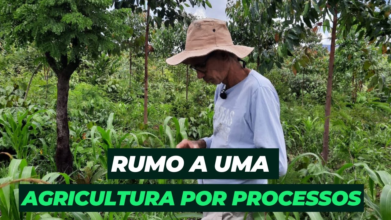 Agricultura sintrópica. Rumo a uma agricultura por processos.