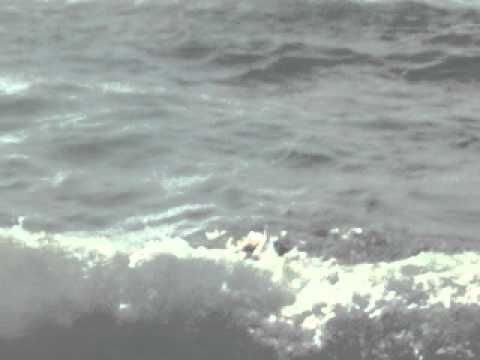 Ayman Sonline on Abo -Talat Beach