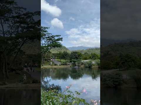 Parque Biblioteca en #Boquete #Chiriquí #visitpanama
