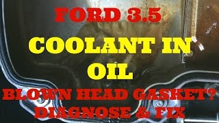 Ford Edge 3.5 Coolant in Oil, Diagnose & fix