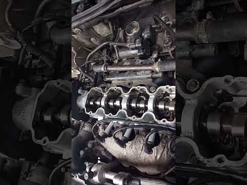 batendo tucho #shorts