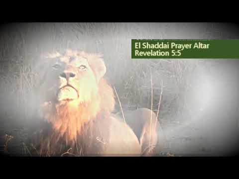 Revelation 5:5 Lion of Judah