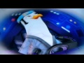 Endangered Species Gull Hopper Clip