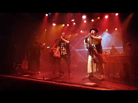 Subcarpați live @Electric Ballroom 3 April 2022