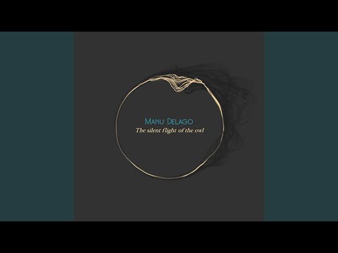 The Silent Flight Of The Owl