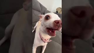 Download lagu Niki looks so happy❤️ mp3 Download lagu Niki looks so happy❤️ mp3