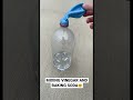 Mixing Vinegar And Baking Soda #Shorts