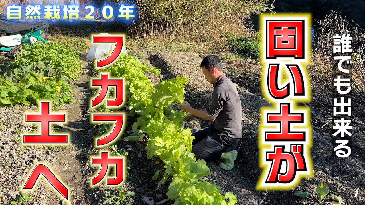 カチカチの粘土質がフカフカに!自然栽培20年の知恵に学ぶ「土の再生術」