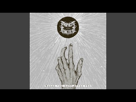 Where The Days Never End