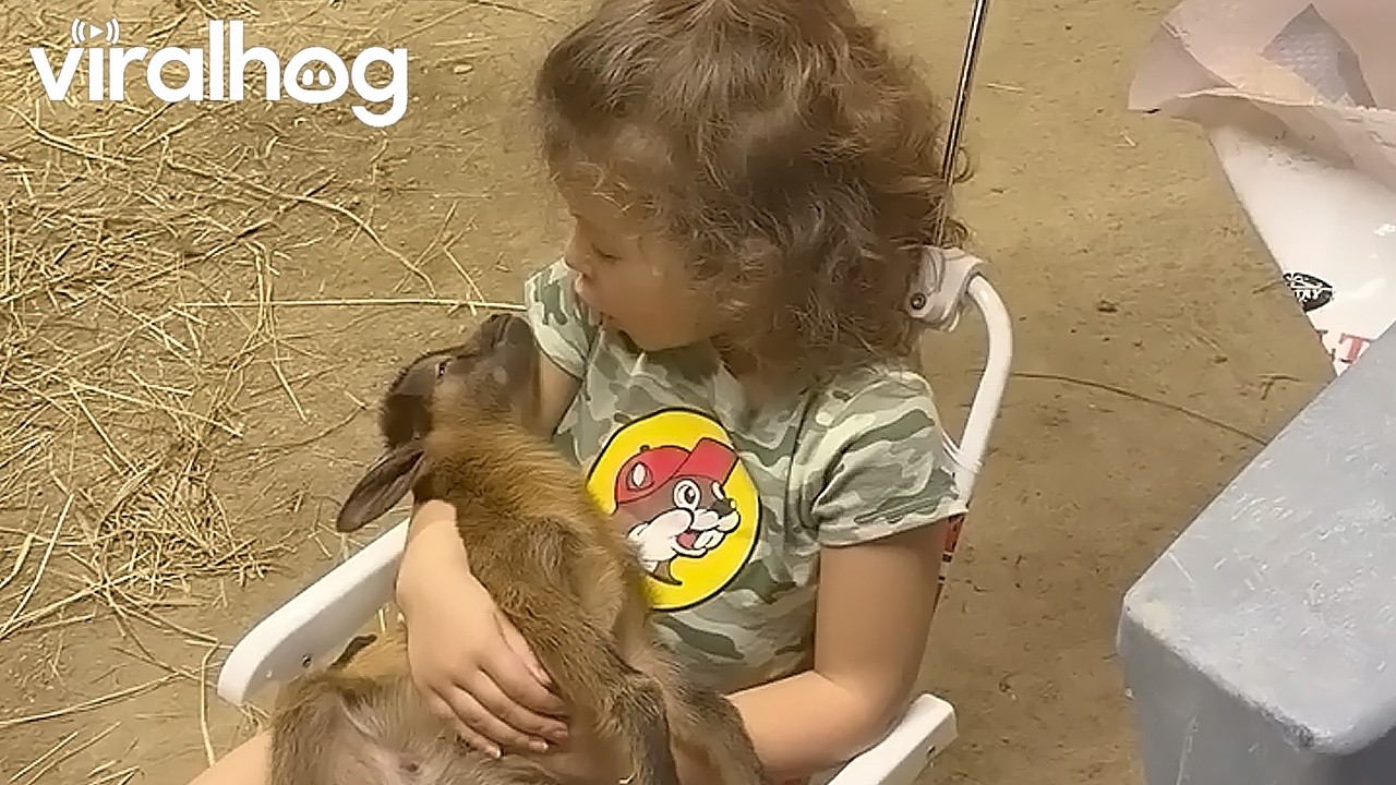 Toddler Singing Lullaby to Baby Goat || ViralHog