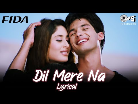 Dil Mere Naa (Lyrical) — watch video
