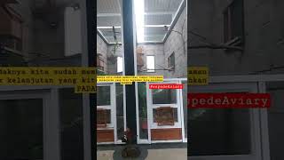 Download lagu Espede Aviary | Kandang Ternak Murai Batu | Pengkaran Murai Batu Dan Kenari | Boyolali #muraibatu mp3