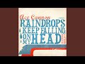 Raindrops Keep Falling On My Head