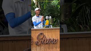 Rocky parrots edition now showing on Star Princess | Prince Cruise Line | Star Princess Review 2026