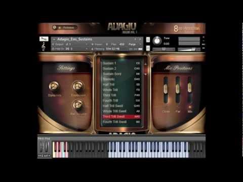 8Dio Adagio Violins Sustains Overview