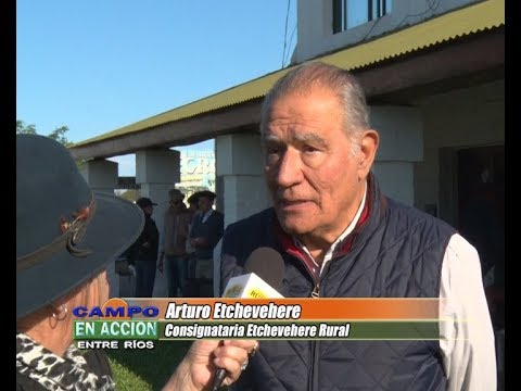 Angus Entrerriano Remate 2018 - Arturo Etchevehere