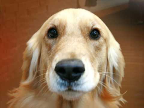 One of these night - Red Velvet (COVER)