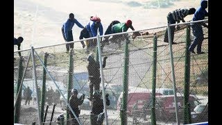 Draco Destruction of Western Nations With Desperate Immigrants