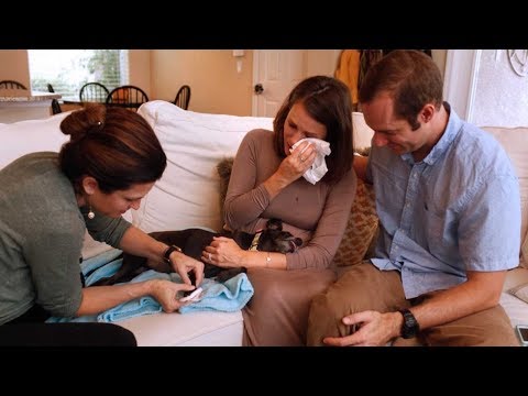 'Lap of Love' veterinarians offer in-home euthanasia to give a final farewell in a place of comfort
